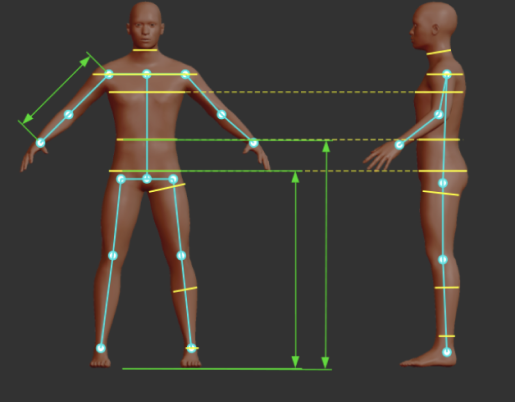 Automatic human body measurement: Project challenge