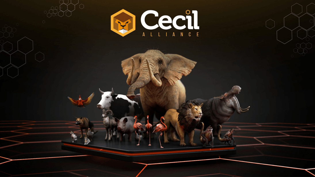Cecil Alliance