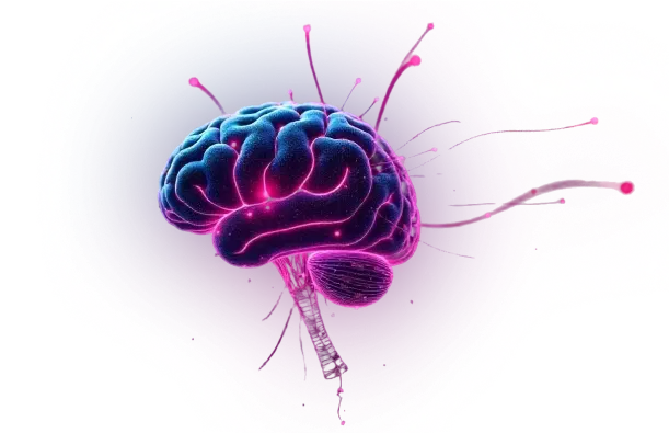 benefits